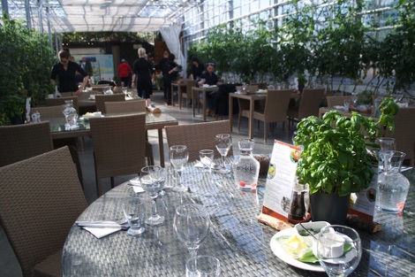 Fridheimar restaurant